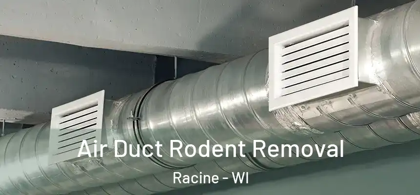 Air Duct Rodent Removal Racine - WI