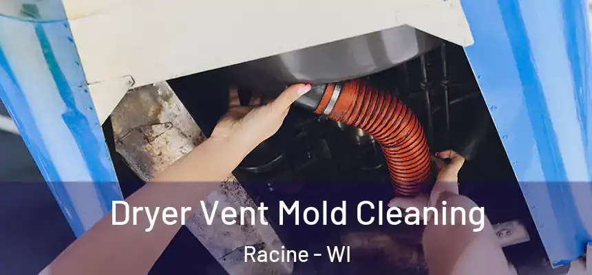 Dryer Vent Mold Cleaning Racine - WI