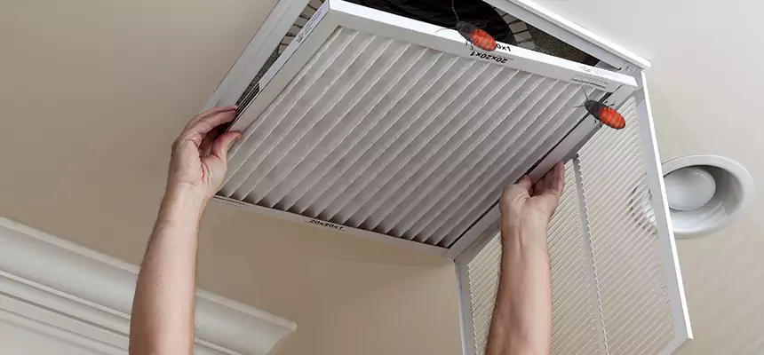 Preventive Cockroach-Proofing for Ducts in Racine