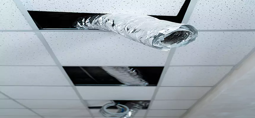 Affordable HVAC Sanitizing After Pest Removal in Racine