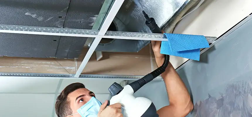 Our Air Duct Rodent Removal Services in Racine, WI