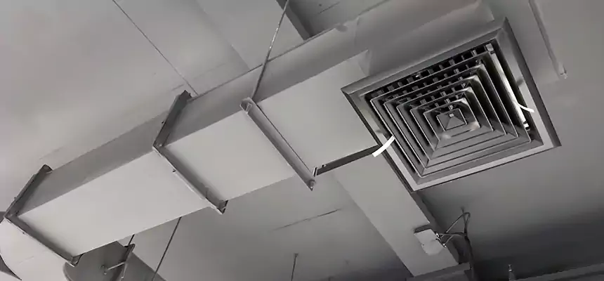 Restorative Allergy Relief Vent Cleaning – Coil, Blower & Housing Detail in Racine