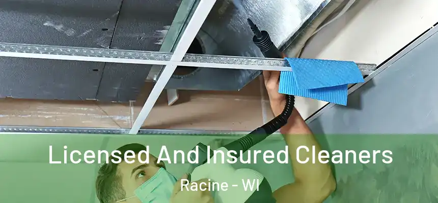 Licensed And Insured Cleaners Racine - WI