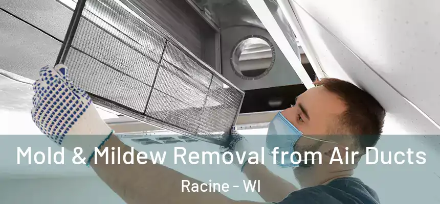  Mold & Mildew Removal from Air Ducts Racine - WI