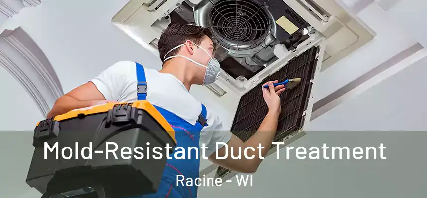 Mold-Resistant Duct Treatment Racine - WI
