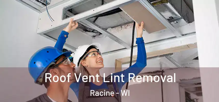 Roof Vent Lint Removal Racine - WI