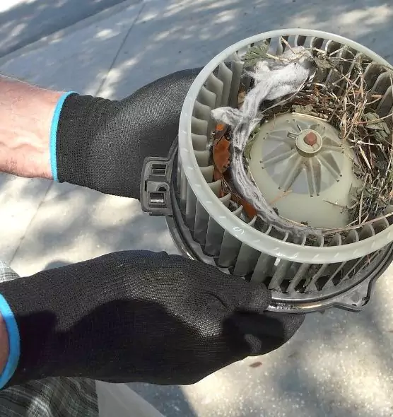 About Air Duct Rat Removal in Racine, WI