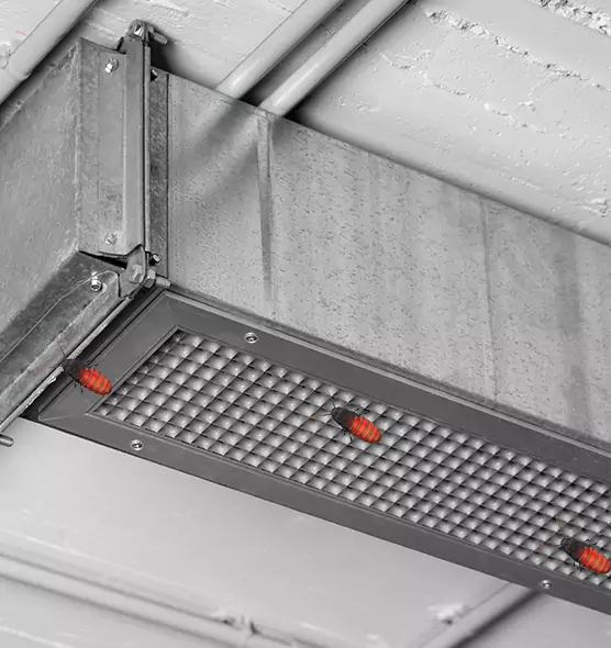Affordable Insect Removal from Air Ducts in Racine, WI