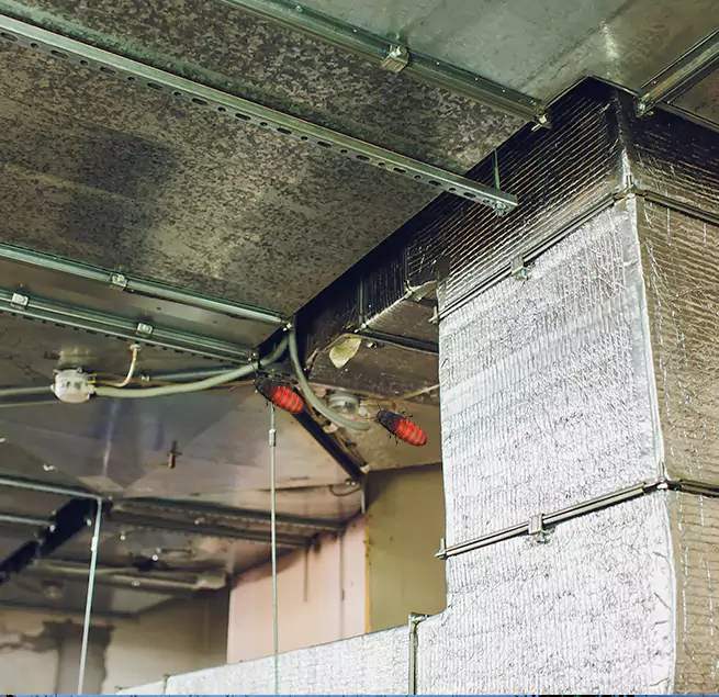 Why Homeowners & Businesses Trust Us in Racine, WI?