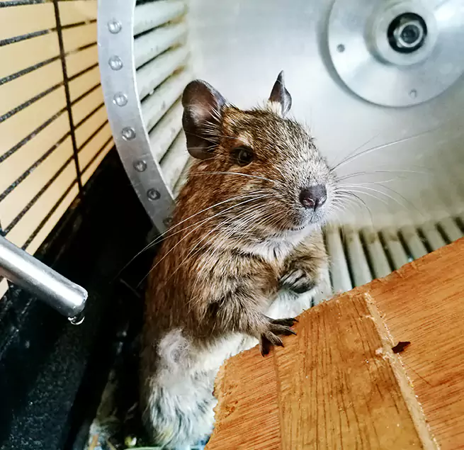 Why Homeowners & Businesses Trust Us Racine, WI?